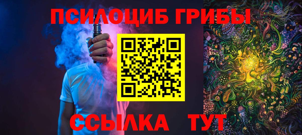 Амурск  Галлюциногенные грибы прущие грибы  Вход с VPN 